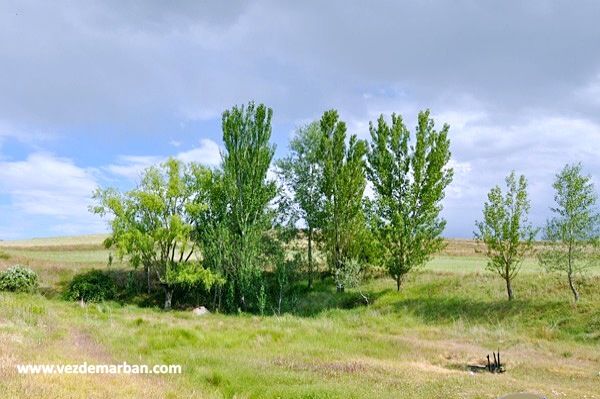Fuente del Otero de Vezdemarbán. Fuente del Otero de Vezdemarbán.
