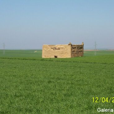 Alrededores del pueblo 3.3