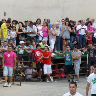 Fiestas patronales 2014 3