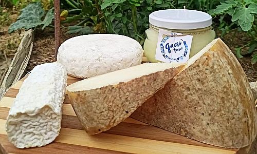 Quesería artesanal La dicha Marbana, quesos variados. Quesería Artesanal La Dicha Marbana. Quesos variados.