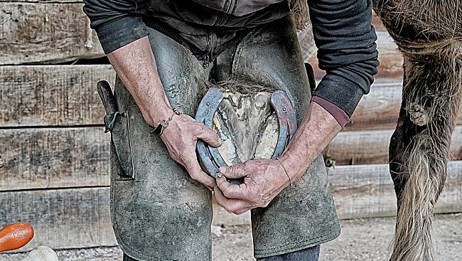oficios herrador en acción herradura